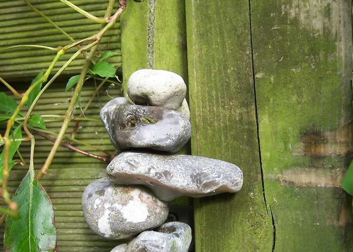 Casa vacanze Marienleuchte